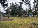 6906 CRANBERRY STREET Photo 8