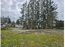 Lot 2 MANSON AVE Photo 2