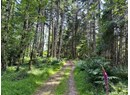 5815 SHELTER POINT ROAD Photo 12