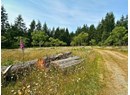 5815 SHELTER POINT ROAD Photo 9