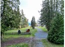 8035 HIGHWAY 101 Photo 12