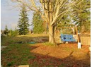 7153 ALBERNI STREET Photo 10
