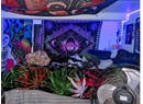 7153 ALBERNI STREET Photo 11