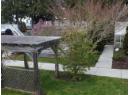 4290 SCOTIA PLACE Photo 10