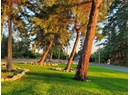 5205 GILLIES BAY ROAD Photo 11