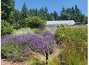 5667 GILLIES BAY RD ROAD Photo 3
