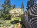 5667 GILLIES BAY RD ROAD Photo 4