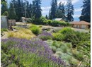 5667 GILLIES BAY RD ROAD Photo 9