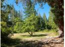 12149 SCOTCH FIR POINT RD Photo 3