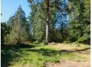 12149 SCOTCH FIR POINT RD Photo 6