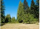 12149 SCOTCH FIR POINT RD Photo 7