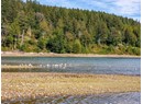 12683 HIGHWAY 101 Photo 8