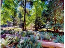 1394 VANCOUVER BLVD Photo 3