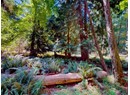 1394 VANCOUVER BLVD Photo 4