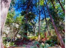 1394 VANCOUVER BLVD Photo 6