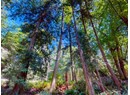1394 VANCOUVER BLVD Photo 8