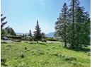 9868 VIEW ROAD Photo 3