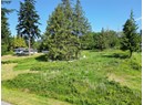 9868 VIEW ROAD Photo 4