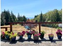 3749 HIGHWAY 101 Photo 7