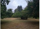 5382-lot B MANSON AVE Photo 1