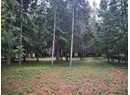 5382-lot B MANSON AVE Photo 6