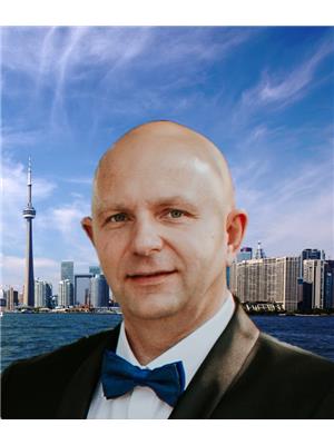 ANDREY ZIBERT
