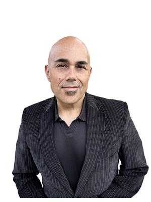 MAX MACCARI