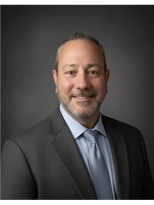 David DeDominicis