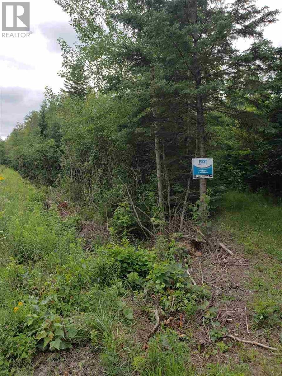 For sale Cole Road, Meaghers Grant, Nova Scotia B0N1V0