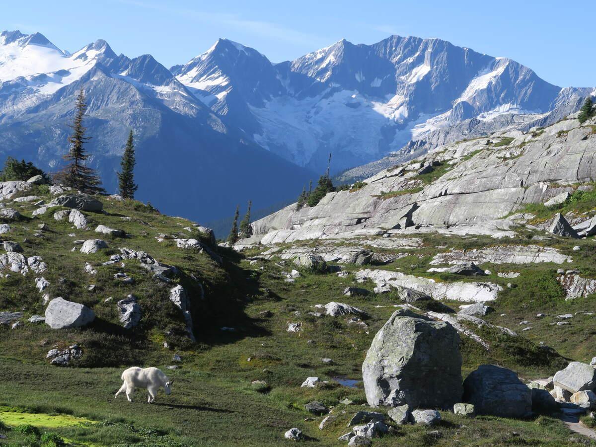 For sale 1398 PINE DRIVE, Golden, British Columbia V0A1H1 2459669