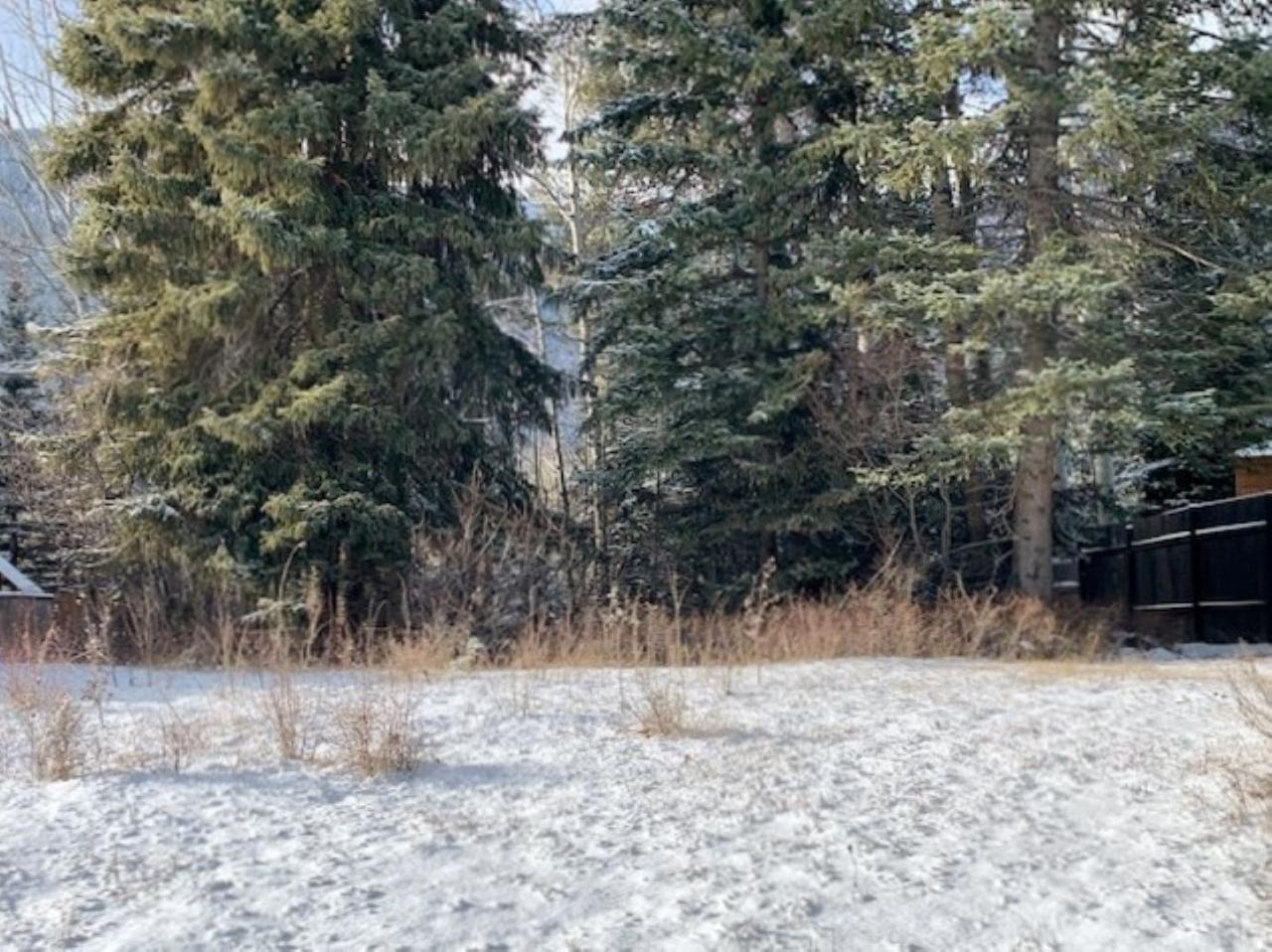 For sale 1317 WILDWOOD DRIVE, Sparwood, British Columbia V0B2G2