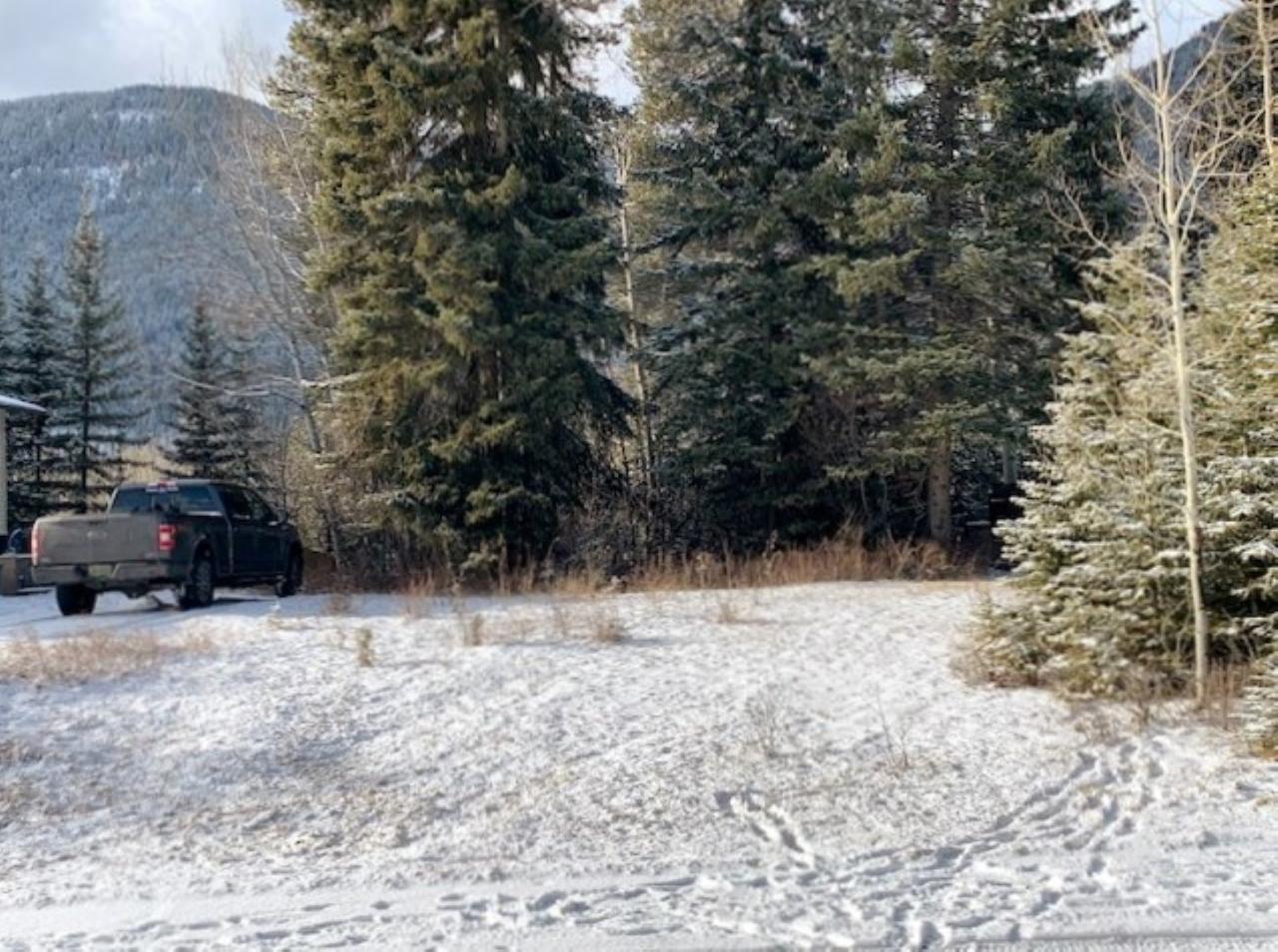 For sale 1317 WILDWOOD DRIVE, Sparwood, British Columbia V0B2G2