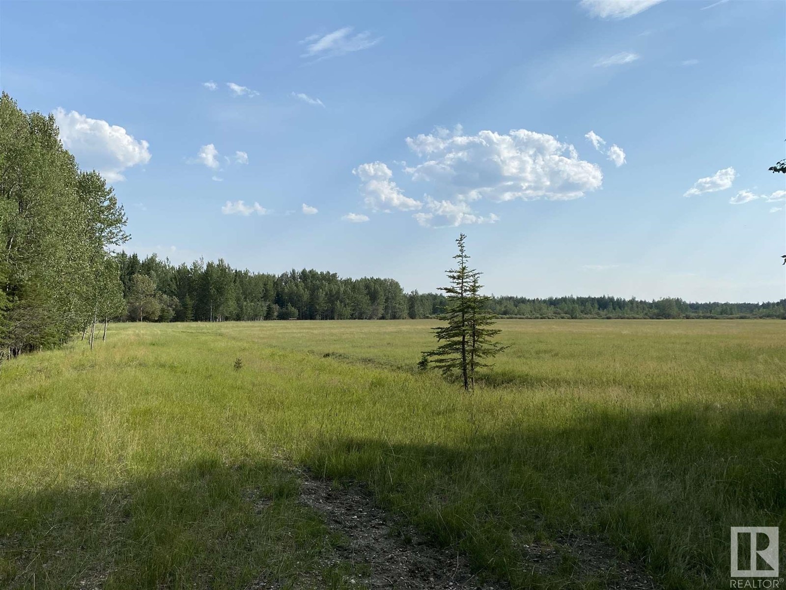 For sale RR84 and HWY 621, Rural Brazeau County, Alberta T7A2A3