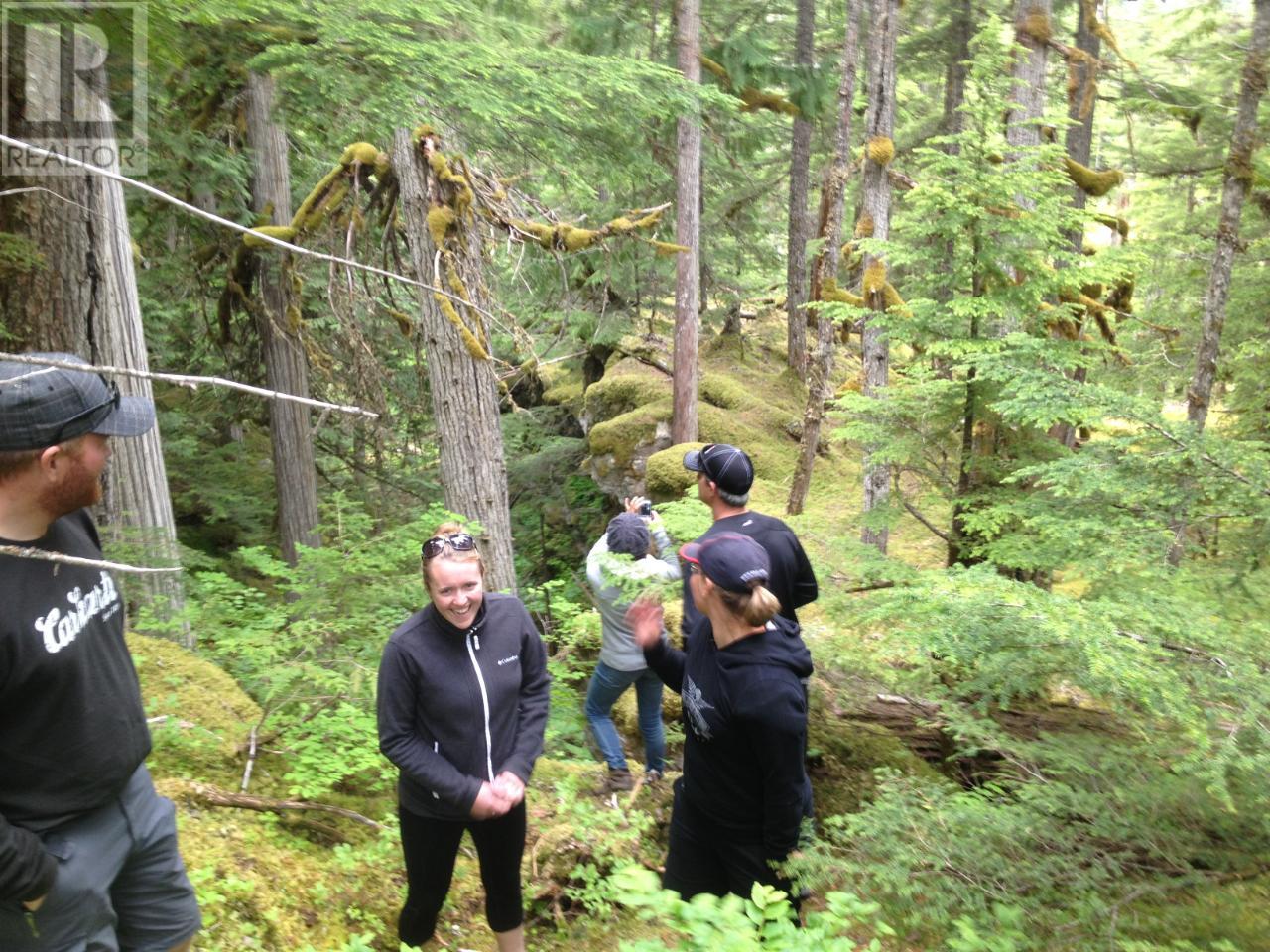 For sale CLEARWATER VALLEY ROAD, Clearwater, British Columbia 166768