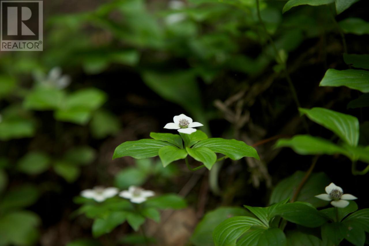 For sale CLEARWATER VALLEY ROAD, Clearwater, British Columbia 166768