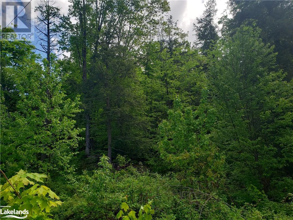 For sale 0 KILWORTHY Road Unit PT 1, Gravenhurst, Ontario P0E1G0