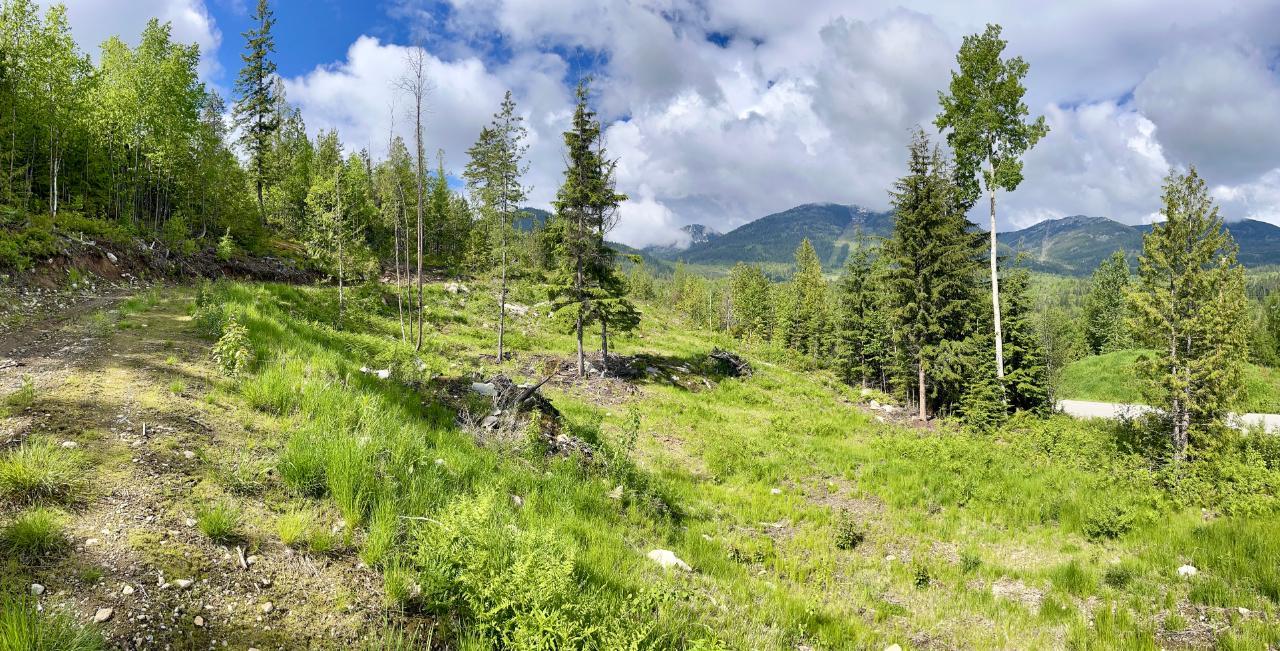 For sale Lot A RICHIE ROAD, Rossland, British Columbia V0G1Y0