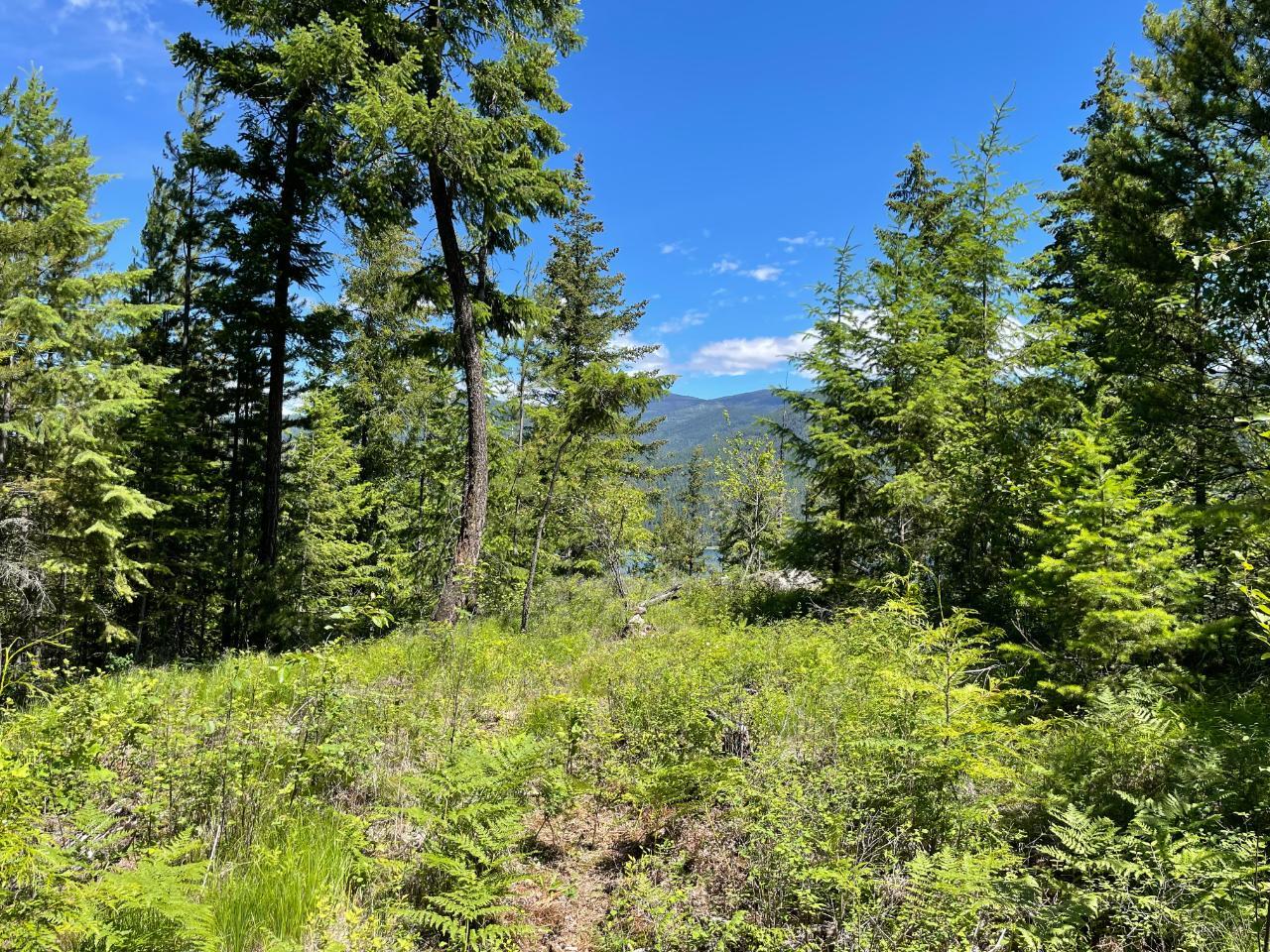 For sale Lot 4 LOWER ARROW LAKE, Castlegar, British Columbia V1N3H3