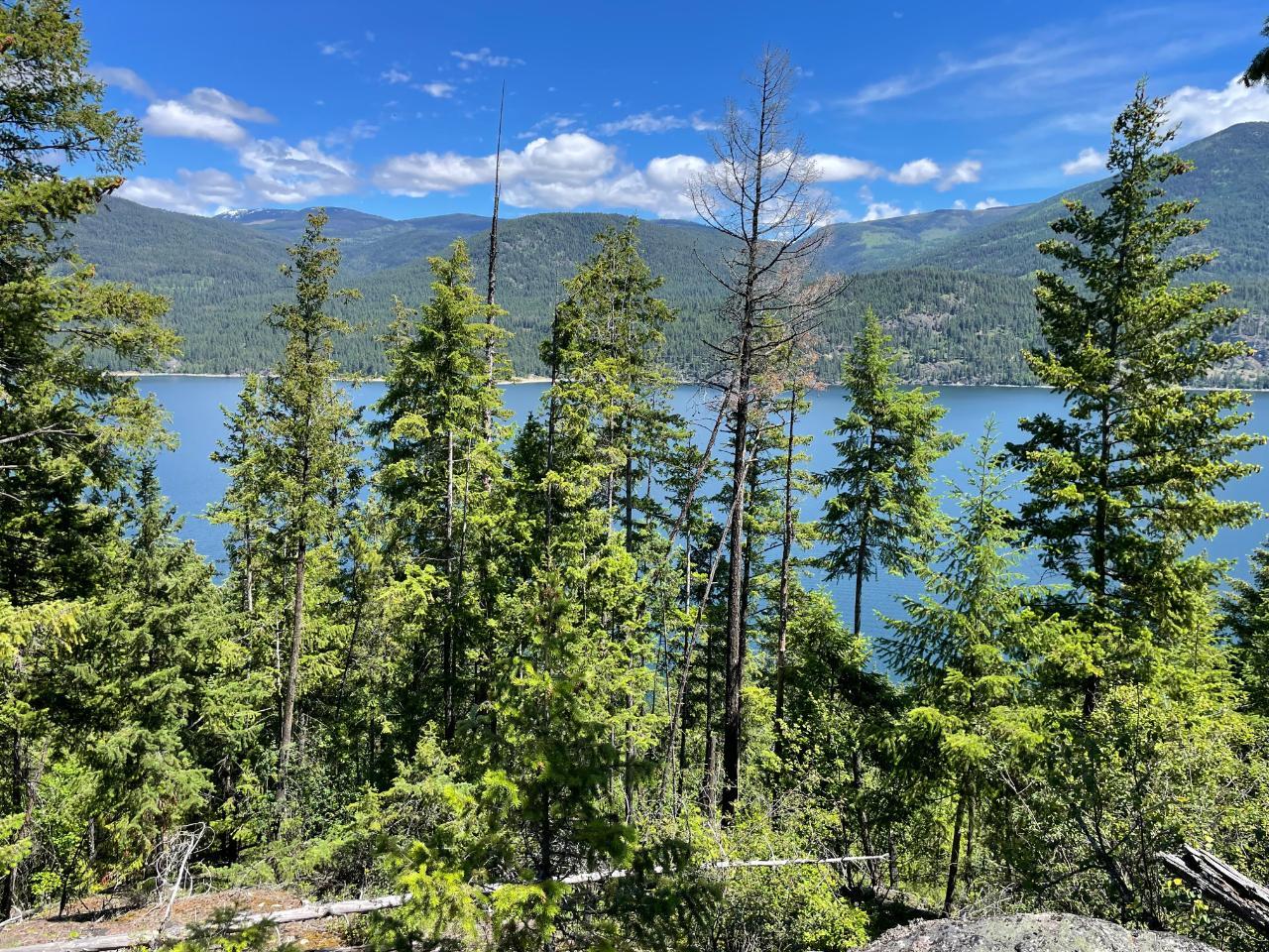 For sale Lot 4 LOWER ARROW LAKE, Castlegar, British Columbia V1N3H3
