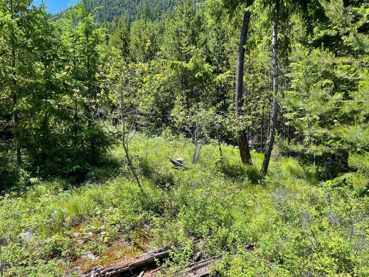 For sale Lot 4 LOWER ARROW LAKE, Castlegar, British Columbia V1N3H3