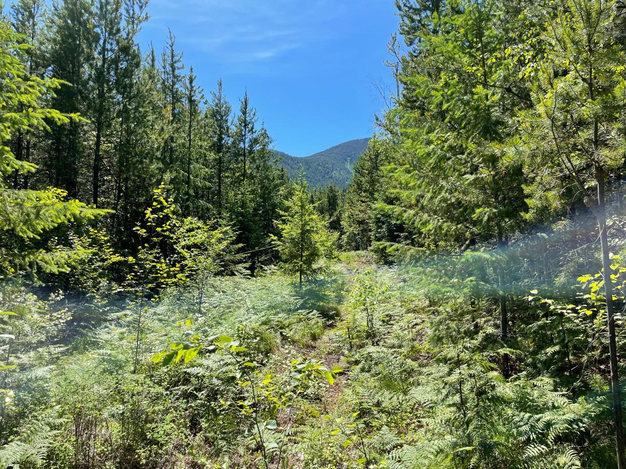 For sale Lot 4 LOWER ARROW LAKE, Castlegar, British Columbia V1N3H3
