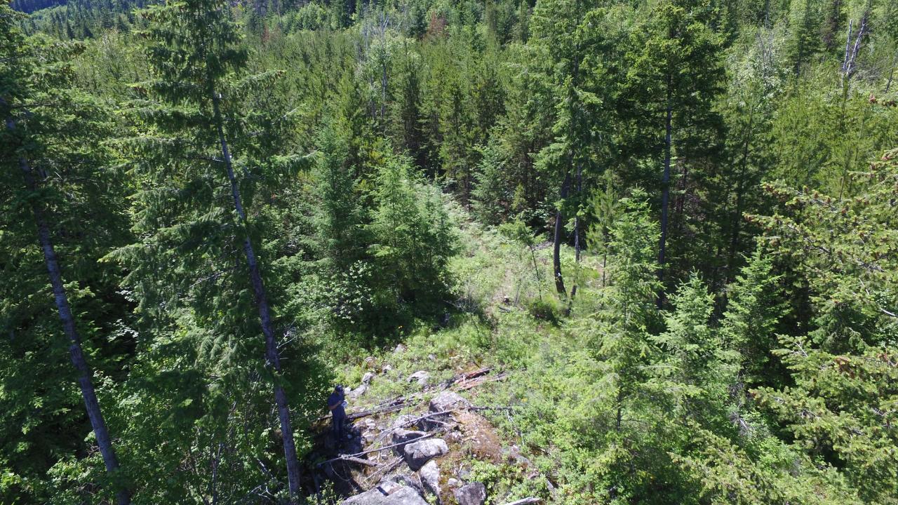 For sale Lot 4 LOWER ARROW LAKE, Castlegar, British Columbia V1N3H3