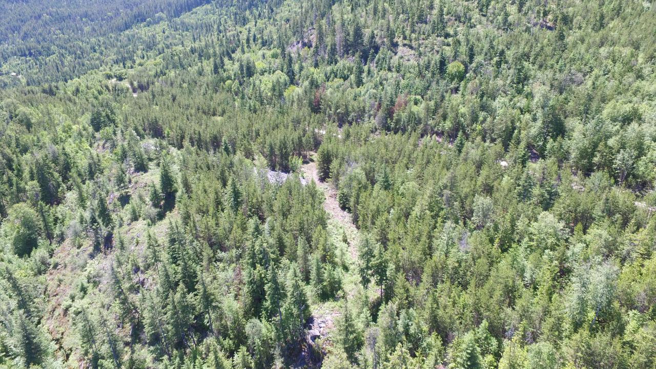 For sale Lot 4 LOWER ARROW LAKE, Castlegar, British Columbia V1N3H3