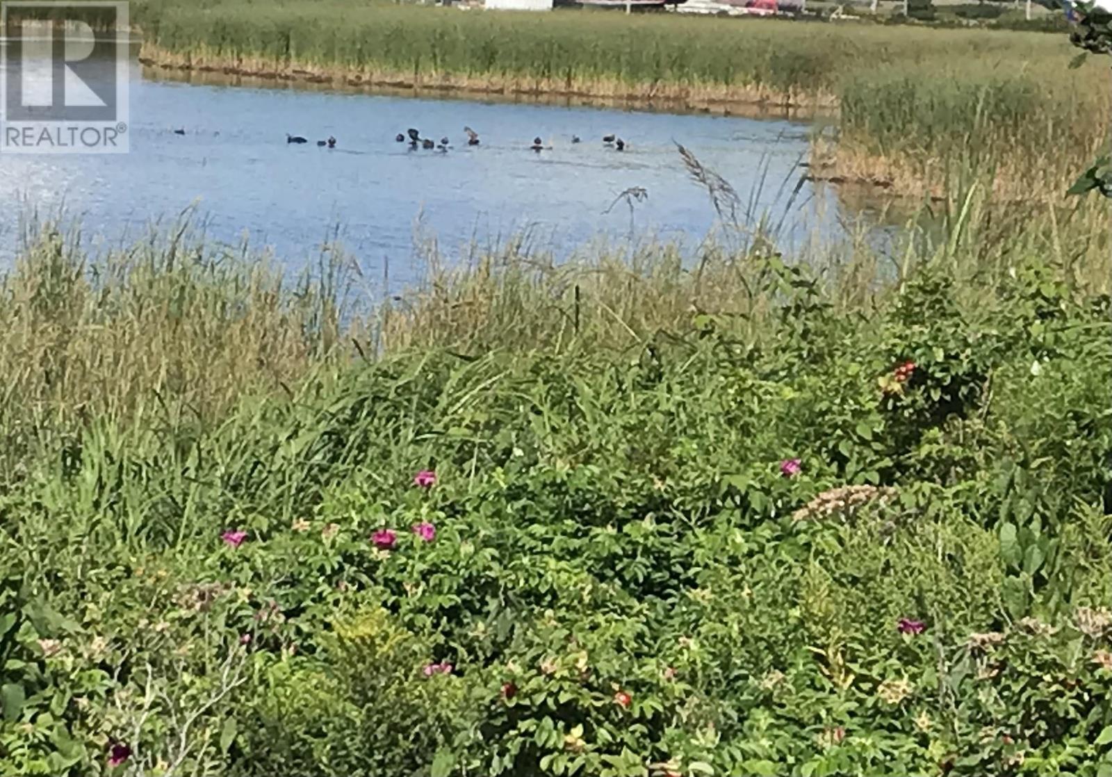 For sale Solomon Lane, Meteghan River, Nova Scotia B0W2L0 202124754