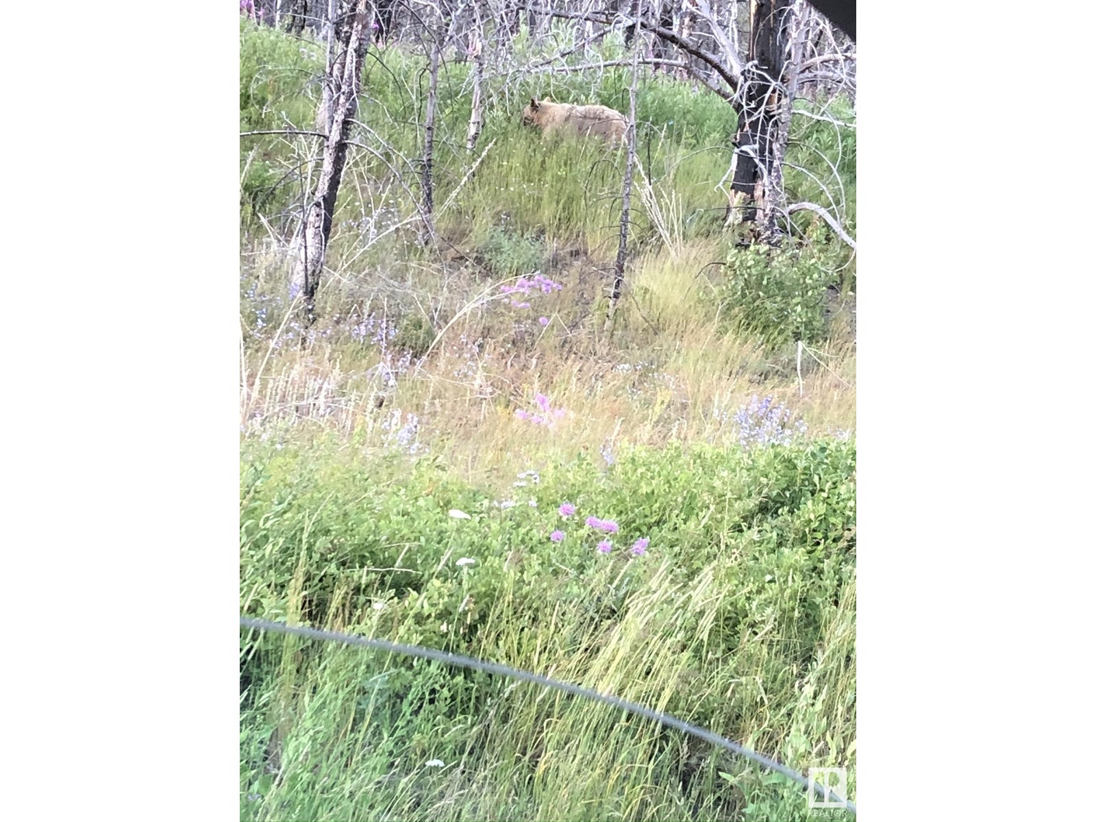 For sale Lot 10 Heritage Ranch Subdivision, Rural Cardston County