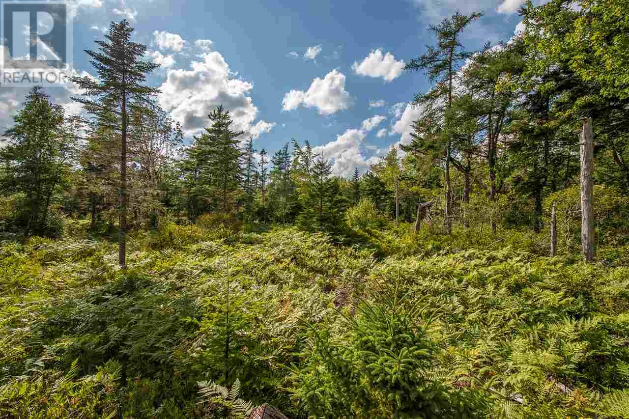 For sale Lot Feltzen South Road, Feltzen, Nova Scotia B0J2X0