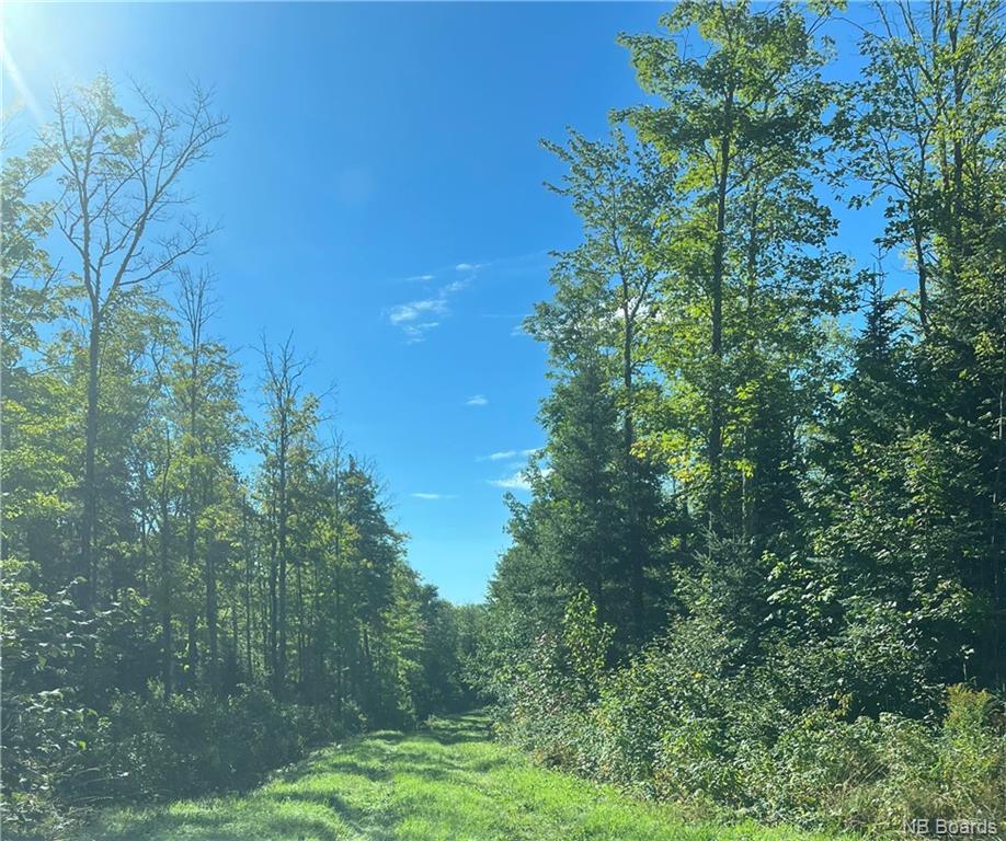 For sale 89 Acres Route 180, South Tetagouche, New Brunswick E2A7G3