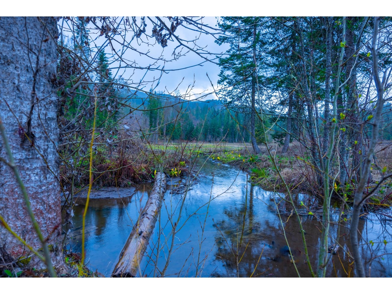 For sale 1097 LAKEVIEW ARROW CREEK ROAD, Creston, British Columbia