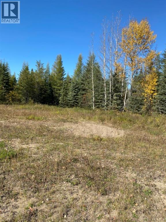 For sale Lot 32 Flats Road Road, Whitecourt, Alberta T7S0E5 A1259389