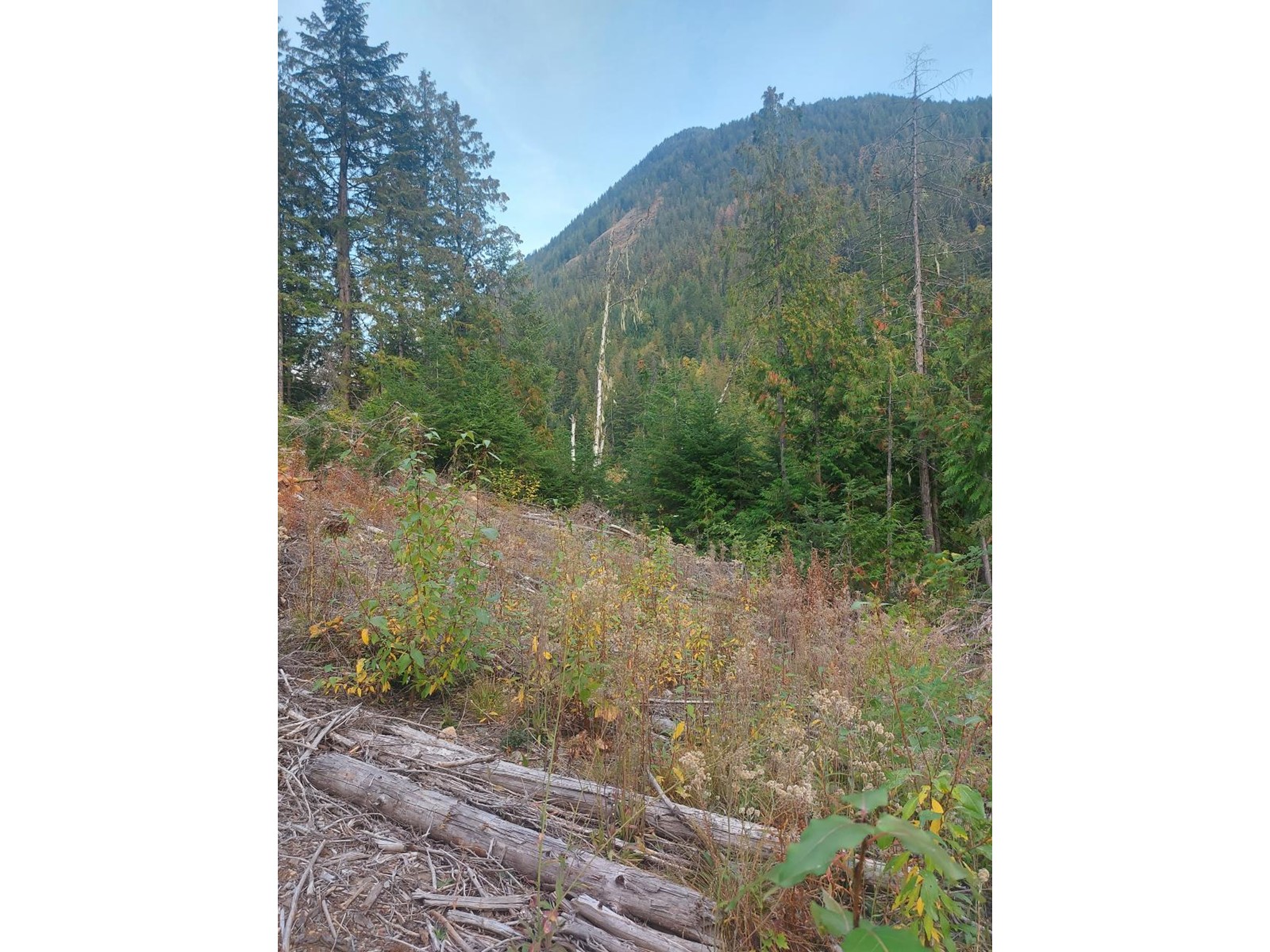 For sale 2345 SHEEP CRK FRST RD, Salmo, British Columbia V0G1Z0